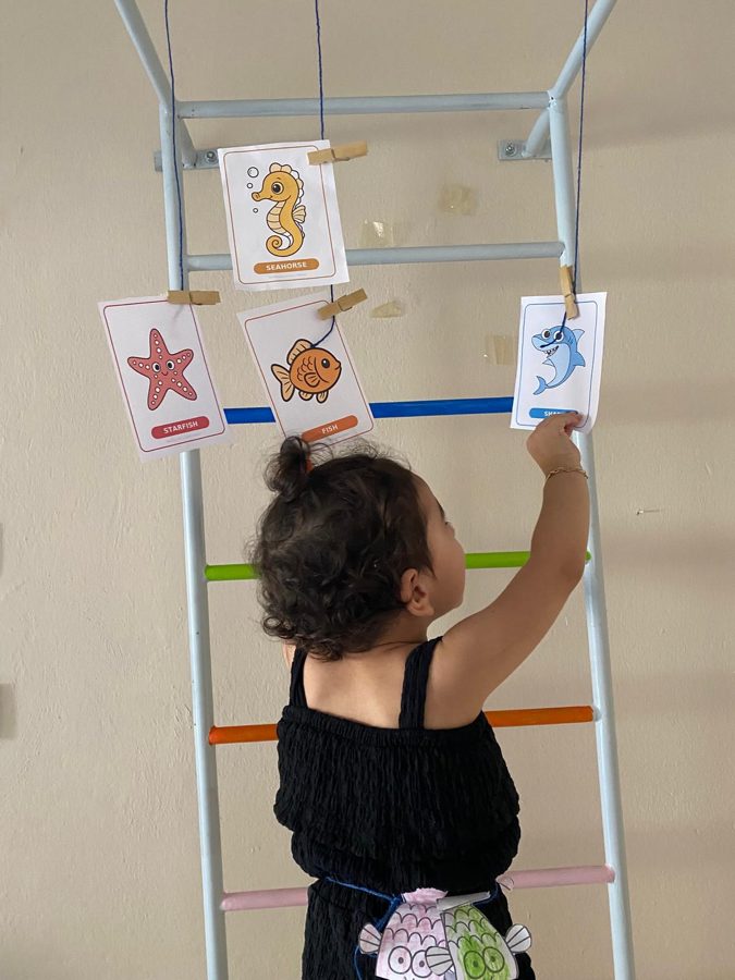 Tırmanma merdivenine asılmış deniz canlısı kartlarına uzanan çocuk
